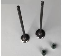 Sello de aceite guía de válvula de escape de admisión de válvula de motor de motocicleta for CG125 ZJ125 QJ125 125cc(Valve and oil seal)