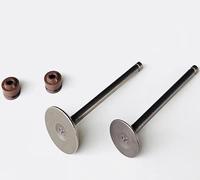 Sello de aceite guía de válvula de escape de admisión de válvula de motor de motocicleta for WH100 GCC100 SCR100 SPACY100(Valve and Oil Seal)