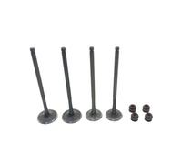 Sello de aceite universal for vástago de válvula de admisión y escape for NC250 NC 250cc ZS177MM T6 J5 RX3 ZS250GY-3(Valve 2 Pair)