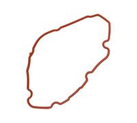 Sello del capó del cuerpo del acelerador (OEM), RZR Ranger, 5413874(1pc)