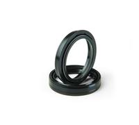 Sellos de aceite de suspensión delantera ARIETE ARI.031