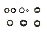 Sellos DE Aceite NC250 Set Completo compatibles con Bosuer M2 Kews K16 Kayo Kay K6 T6 Bicicleta de Aceite Sello de Aceite de Ajuste Universal Reemplazo del Mercado de Accesorios