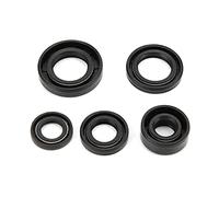 Sellos de Motor de 125 Cc - Sello de Aceite de Motor 丨 5 Juntas de Sellos de Aceite de Motor 丨 Juego de Sellos de Aceite de Motor Accesorio para Lifan 110 Cc 125 Cc 140 Cc Pit Pro Trail Quad Dirt Bike