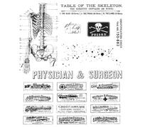 Sellos transparentes de 7.87 x 5.91 pulgadas con palabras de esqueleto para hacer tarjetas, álbumes de recortes, decoración de álbumes de fotos, suministros de manualidades de papel