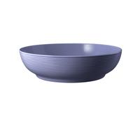 Seltmann Weiden Beat Fliederblau Tazón De Comida 25 Cm
