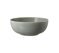 Seltmann Weiden Beat Perlgrau Porcelana Vajilla