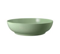 Seltmann Weiden Beat Salbeigrün Cuenco de comida Verde 25 cm Porcelana