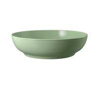 Seltmann Weiden Beat Salbeigrün Foodbowl Bol 25 CM