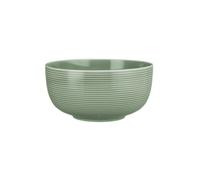 Seltmann Weiden Beat Salbeigrün Tazón De Comida 17,5 Cm
