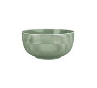 Seltmann Weiden Beat Salbeigrün Tazón De Comida 17,5 Cm