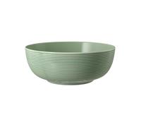 Seltmann Weiden Beat Salbeigrün Tazón De Comida 20 Cm