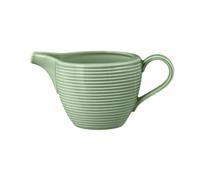 Seltmann Weiden Beat Salvia Verde Jarra De Leche 0,29 L