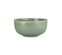 Seltmann Weiden Beat Salvia Verde Porcelana Vajilla