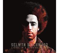 Selwyn Birchwood - Living in a burning house