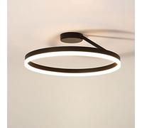 SEMANHUA Lámpara de Techo de energía Interior Lámparas de Techo acrílicas Linterna de Techo de Hierro Cerca del Techo Lámpara de Techo empotrada Ultrafina Comedor Circular (Color : D: 50cm, Size : W