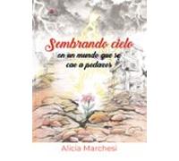 Sembrando Cielo En Un Mundo Que Se Cae A Pedazos