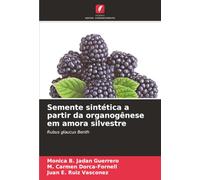 Semente sintética a partir da organogênese em amora silvestre: Rubus glaucus Benth