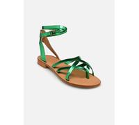 Semerdjian Puma 39 Verde