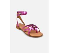 Semerdjian Puma 40 Rosa