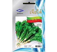 SEMI DI GERMINAZIONE: 3: 1.110 Samen Coriandre Coriandre Bio sativum culantro Gemüse Gewürz Kräuter