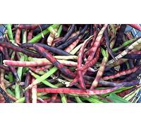 Semi di ortaggi Pink Eyed Purple Fagioli decorticati:Seeds