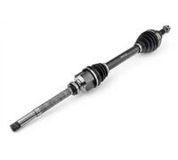 NTY Eje Motriz Delantero Derecho para Citroën C3 III SX 1.2 THP 110 1.5 Blue HDI