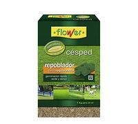 SEMILLA CÉSPED REPOBLADOR
