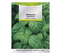Semillas Aromáticas Albahaca Gigante (5 gramos) Horticultura, Horticola, Semillas Huerto.