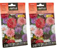 Semillas Batlle Centaurea VARIADA Doble (Paquete de 2)
