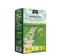Semillas Batlle - césped Dichondra Repens, 5 kg
