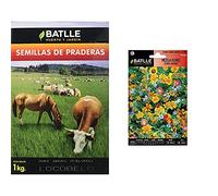 Semillas Batlle Semillas De Césped R.G. Italiano Certificado 1Kg + Semillas De Flores Mezcla De Flores Césped Japonés