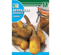Semillas berenjena Carina