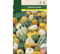 Semillas Calabacitas Decorativas - Calabazas de Colores - Calabacines Ornamentales