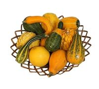 Semillas Calabazas Decorativas - Semillas Plantas Ornamentales - Mix Variedades