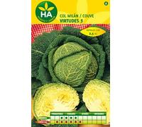 SEMILLAS COL MILAN VIRTUDES 3 SOBRE