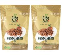 Semillas de Albaricoque Bio - 250g. Granos Amargos y Crudos de Albaricoques Silvestres Contiene Vitamina B17 y Amigdalina. Albaricoques Kernel. (Paquete de 2)