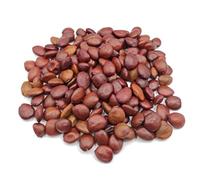 Semillas de Algarroba Griega Orgánica 40g - 1.95Kg Ceratonia Siliqua (1950 gramos)