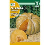 Semillas de Calabaza muscade de provence - Calidad y Versatilidad ?