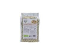 Semillas de Cáñamo Peladas Naturales - Pack de 2 (2 x 250g) - 500g de Superalimento Rico en Proteína Completa y Omega 3-6 - Sabor a Nuez - Ideal para Smoothies y Ensaladas - 100% Puro