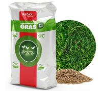 Semillas de césped KADAX, semillas de césped, césped de crecimiento rápido (1 kg)