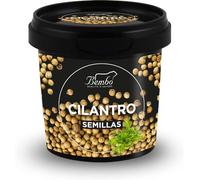 Semillas de Cilantro Bembo 40 g | Especia Natural y Aromática | Sin Glutammati, Antiaglomerantes, Colorantes | Envase anti luz, anti-oxidación, reciclable y reutilizable