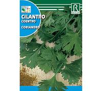 Semillas de Cilantro Coriandro