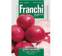 SEMILLAS DE CÍTULA ROJA SAVONESA FRANQUES SEMILLAS