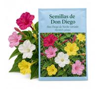 Semillas de Don Diego de Noche Variado para Cultivar DECOALIVE | Mirabilis Jalapa con Flores Rojas, Rosas, Blancas o Amarillas