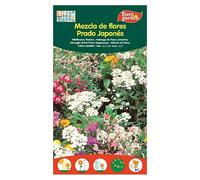 Semillas de flores Mezcla de Flores Prado Japonés (Época de floración: Junio)