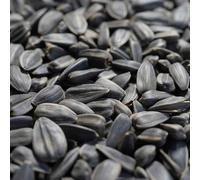 Semillas de girasol negras 20 kg, Alimento para pájaros