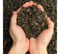 Semillas de girasol negro de 25 kg para aves silvestres semillas de aves de i...