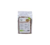 Semillas de Lino Marrón Natural (Pack de 2 x 250g) - Linaza Marrón Calidad Extra rica en Omega-3 y Fibra - 100% Crudas y Sin Gluten - 500g Total para Bienestar Digestivo y Repostería Saludable