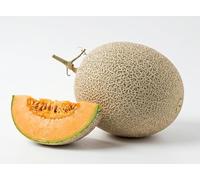 Semillas de Melón Retato | Alta Germinación | Melón Dulce y Aromático | Ideal para Huerto, Jardín y Maceta | Semillas Naturales No OGM Made in Italy
