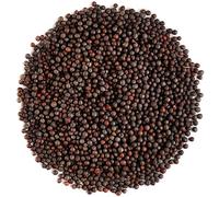 Semillas De Mostaza Negra Ecológica - Semillas De Mostaza Negra-Semillas Mostaza-La Mostaza-Black Mustard Seed-Semi Di Senape Nera-Semillas Mostaza Negra-Semilla Mostaza Negra Eco